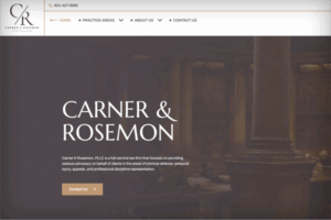 Website homepage screenshot